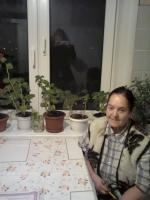 ��������� ������ ��������